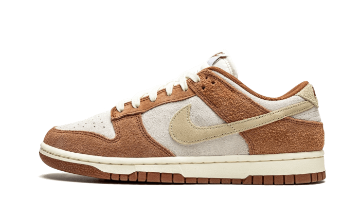 Nike sb dunk on sale mid femme marron