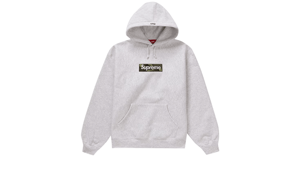 Box Logo Hooded Sweatshirt (FW23) Ash Grey