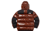 The North Face 700-Fill Down Parka Brown